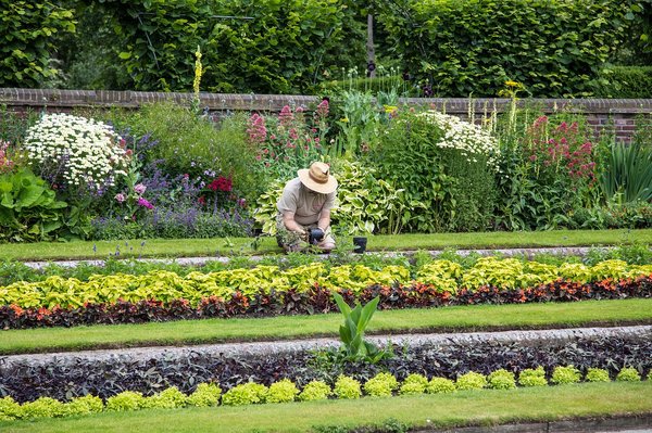 How can UK home gardeners select and organize plants to create a year-round garden?